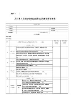 湖北省工程造价咨询企业执业质量检查记录表