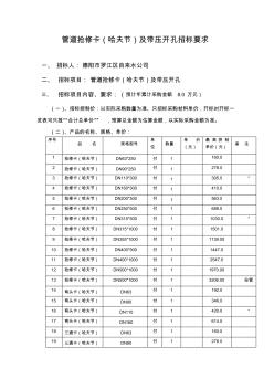 管道搶修卡(哈夫節(jié))及帶壓開孔招標(biāo)要求 (2)