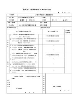 管道接口連接檢驗批質(zhì)量檢驗記錄