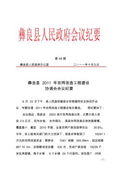 2011年农网改造工程建设协调会会议纪要