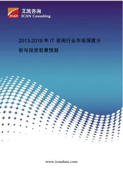 2013-2018年IT咨询行业市场深度分析与投资前景预测 (2)