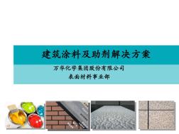 20131212万华建筑涂料销售工具