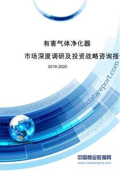 2016-2020年中国有害气体净化器市场深度调研及投资战略咨询报告