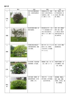 60种植物整理-灌木类-