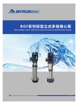 BGF系列轻型立式多级离心泵