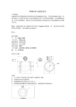 DE43F電磁流量計(jì)