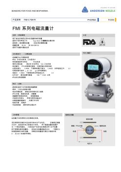 FMI系列电磁流量计-Anderson-Negele