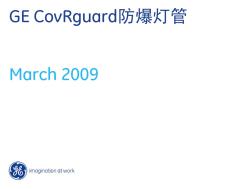 GECovRguard防爆灯管(中文)