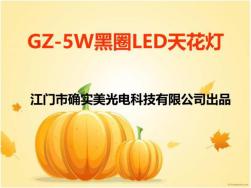 GZ-5W黑圈LED天花灯
