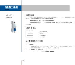 NB1-63小型斷路器