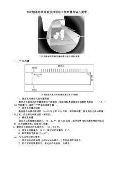 TGP隧道地質超前預報現場工作布置與鉆孔要求