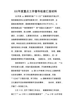 XX年度重点工作督导检查汇报材料 (2)