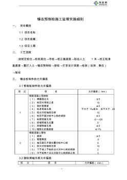 XZ10-2002-06錘擊樁監(jiān)理細則