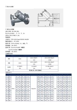 Y型法蘭過濾器