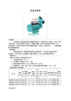 ZB型自吸泵