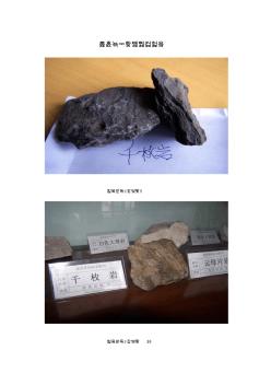 各种标准岩石矿物照片123