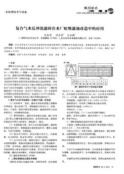 复合气水反冲洗滤砖在水厂虹吸滤池改造中的应用