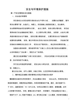 安全与环境保护措施
