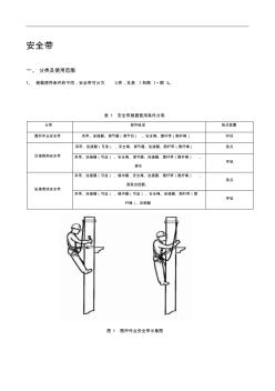 安全带技术规范方案说明书