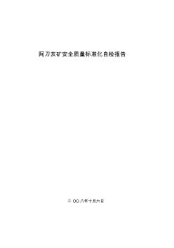 安全質(zhì)量標(biāo)準(zhǔn)化自檢報告