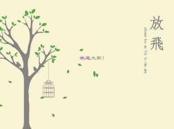 安裝工程(18定宣貫)PPT