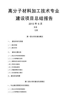 定稿项目总结报告高分子材料加工技术专业