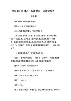 宝钢集团新疆八一钢铁有限公司考察报告(正式)1