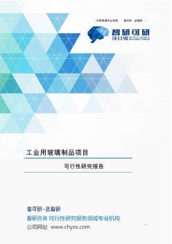 工業(yè)用玻璃制品項(xiàng)目可行性研究報(bào)告
