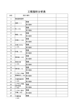 工程指标分析表