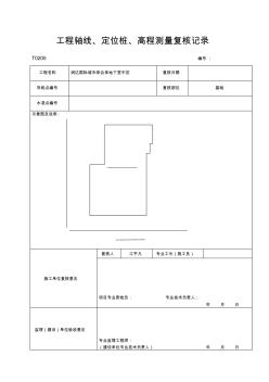 工程軸線、定位樁、高程測量復核記錄-副本(2)