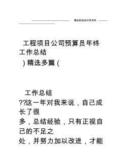 工程项目公司预算员年终工作总结(精选多篇) (2)