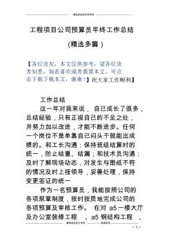 工程项目公司预算员年终工作总结(精选多篇)