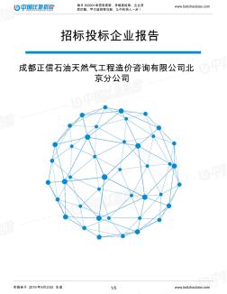 成都正信石油天然气工程造价咨询有限公司北京分公司_中标190923