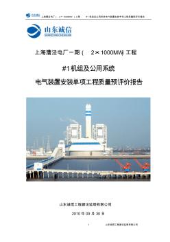 漕泾电厂#1机组电气质量预评价报告(新版)