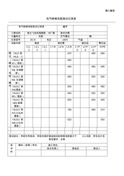 电气绝缘电阻测试记录表格模板