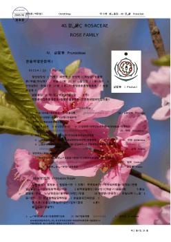 第2篇各论-第10章被子植物门40蔷薇科Rosaceae(4)李亚科