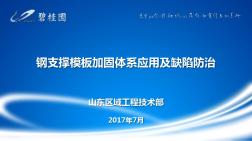 钢支撑模板加固体系应用及缺陷防治