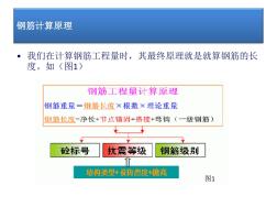 钢筋基本知识解析