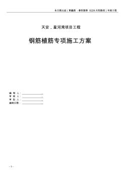 鋼筋植筋專項(xiàng)施工方案
