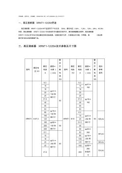 高压熔断器XRNT1-12-25A