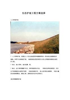 (完整版)生態(tài)護(hù)坡工程方案選擇