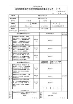 (市政质检3.20)浅埋暗挖管道的初期衬砌检验批质量验收记录(一)