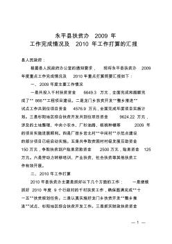 (报政府办)永平县扶贫办2009年工作情况及2010年工作打算情况汇报2010.2.10