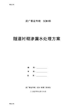 (整理)渗漏水处理施工方案