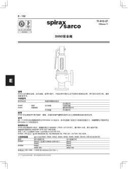 (斯派莎克)安全阀排量表