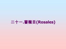 14、二十一、蔷薇目(Rosales)