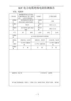 1kV电力电缆绝缘电阻检测报告 (2)