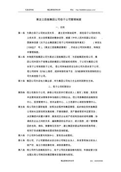2黑龙江辰能集团公司母子公司管理制度