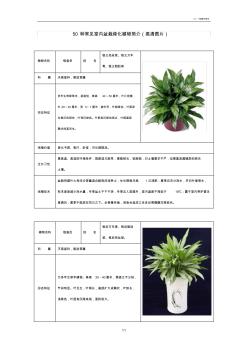 50種常見室內綠化植物介紹