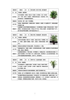50种常见室内盆栽绿化植物介绍_带图片_